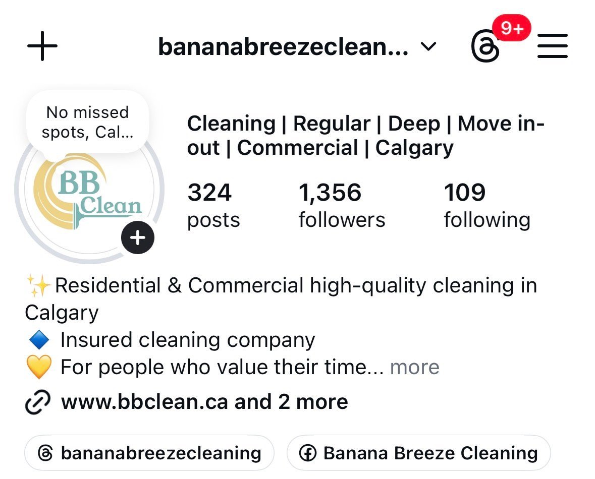 Instagram profile after — 1,356 followers