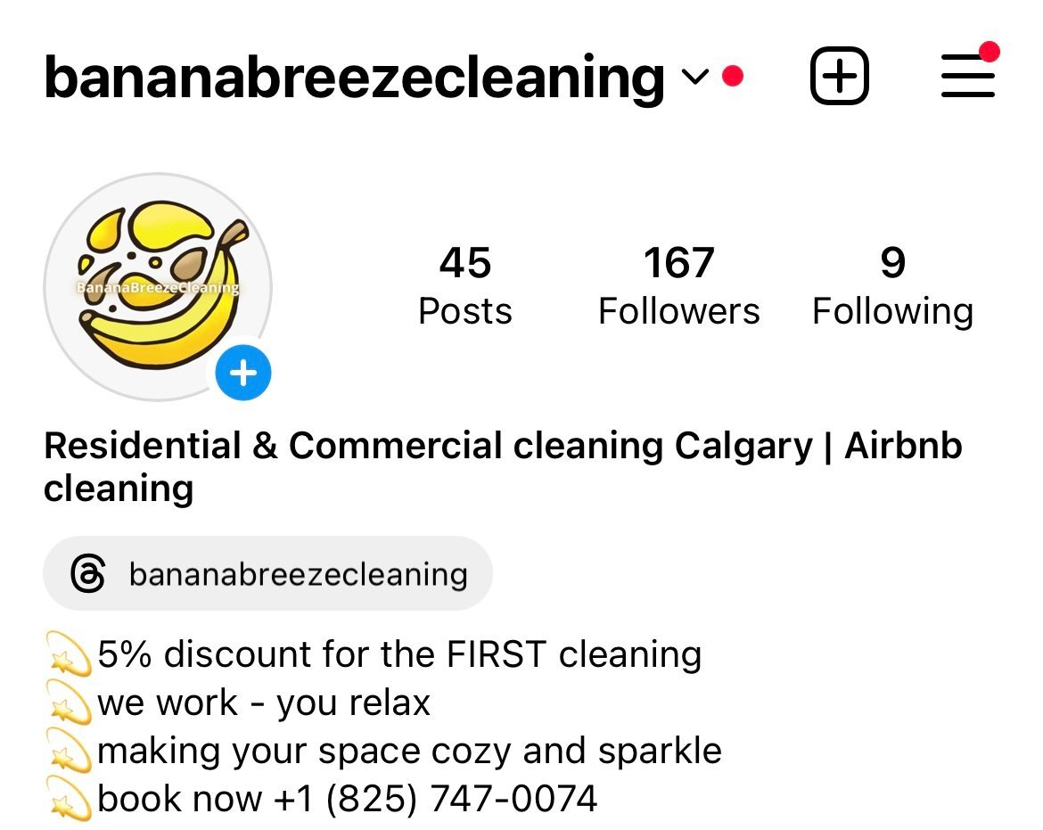 Instagram profile before — 167 followers