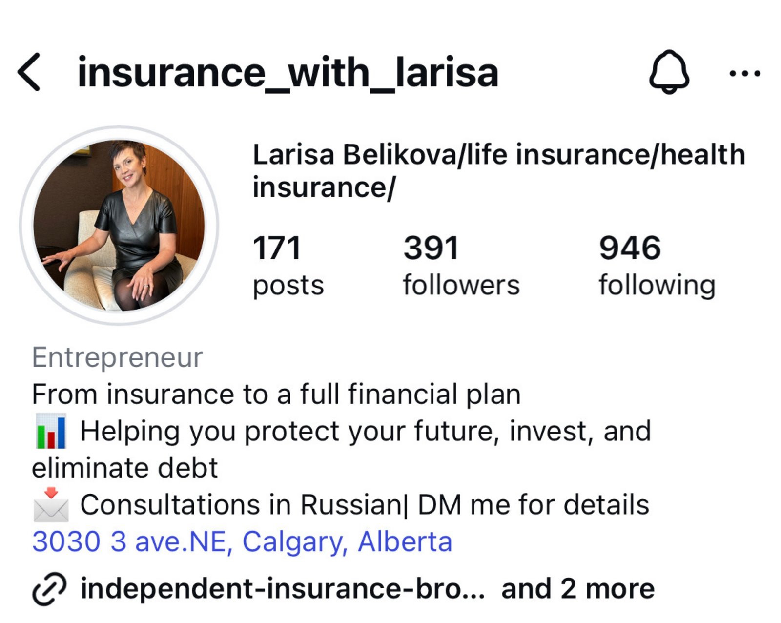 Larisa Belikova Instagram profile before, 391 followers, 5,500 monthly views
